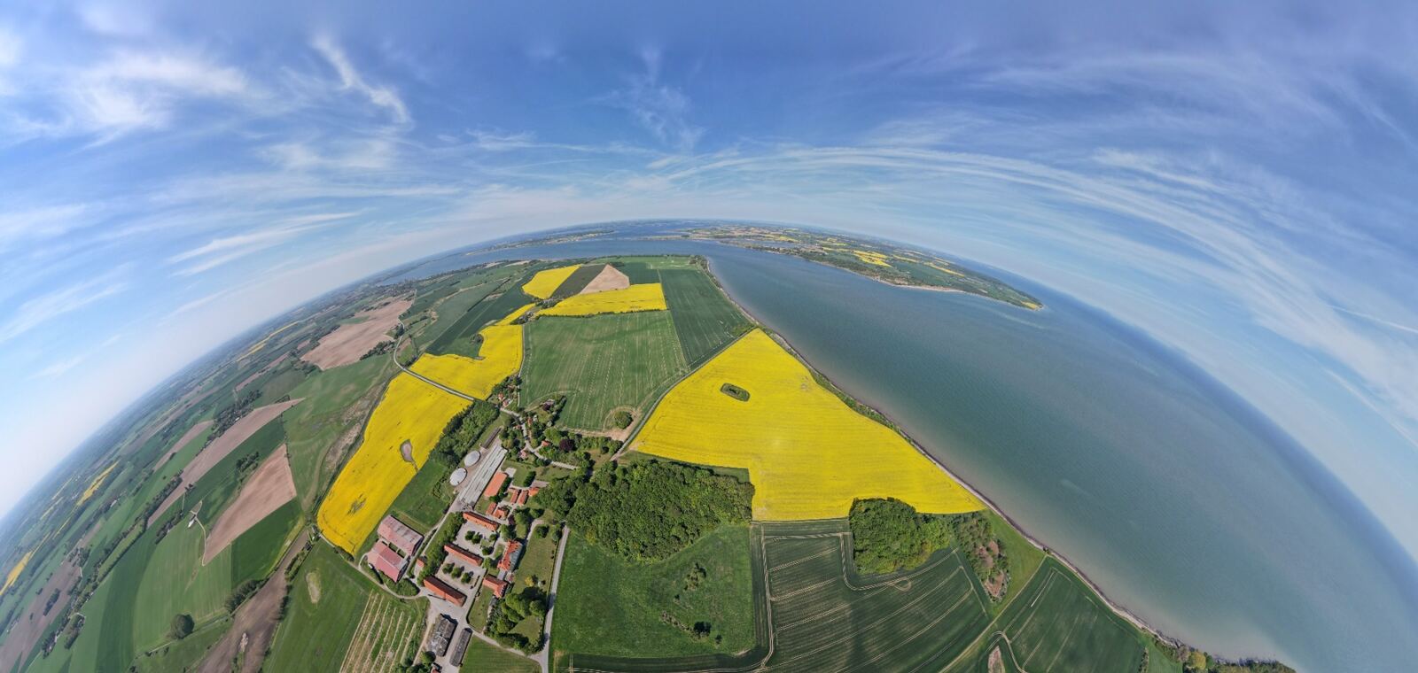 Gule marker og landskab set som panorama